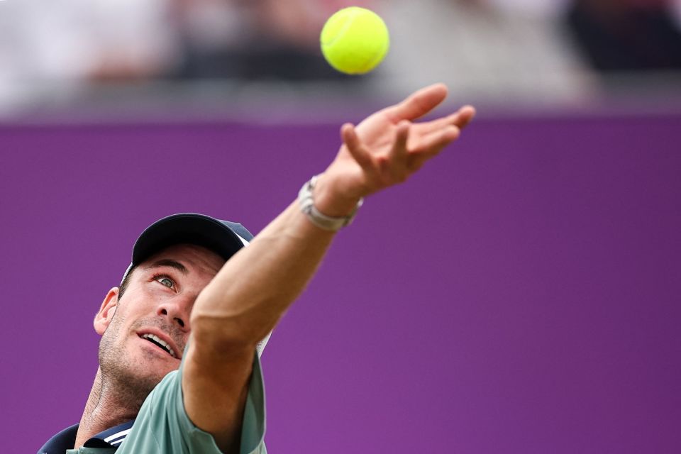 都拥有丰富 都拥有丰富