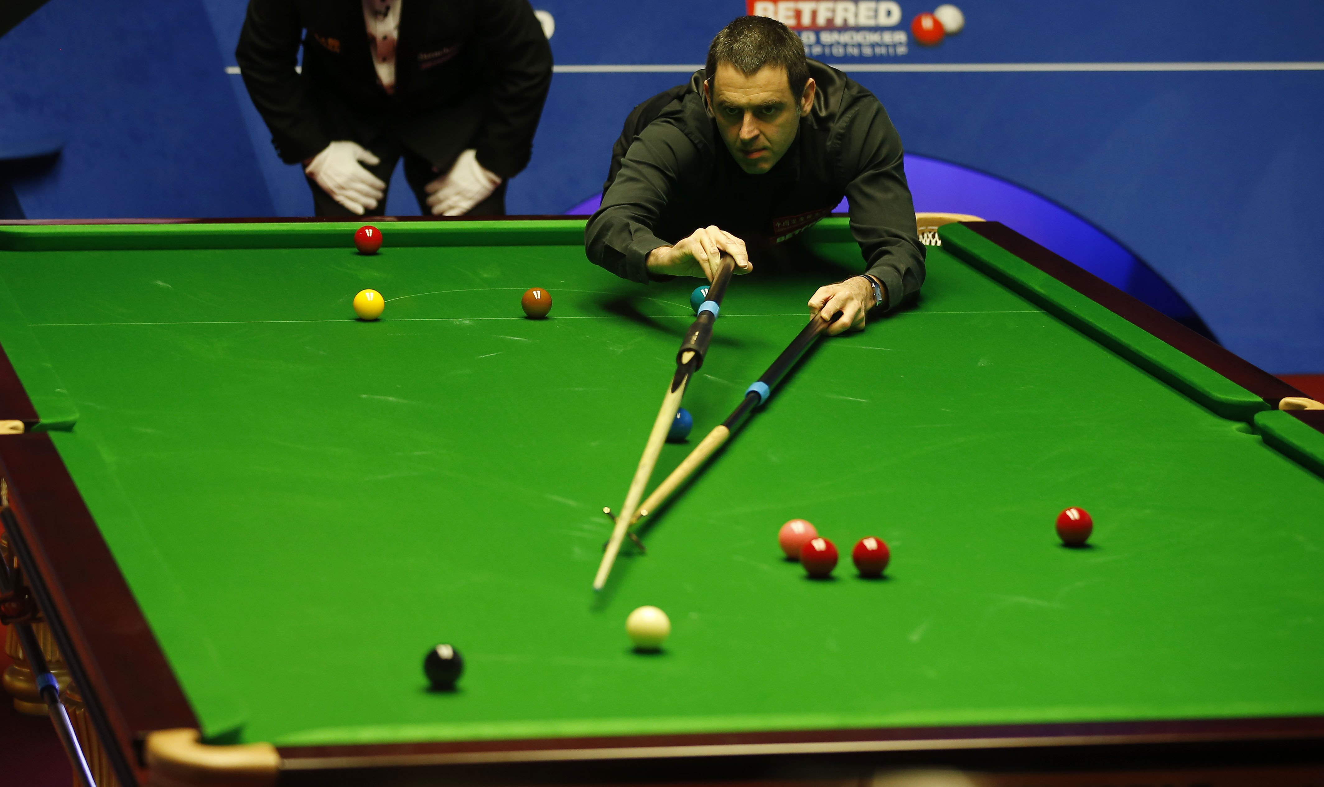 岁的年龄意 岁的年龄意